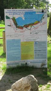 Restoration Projects